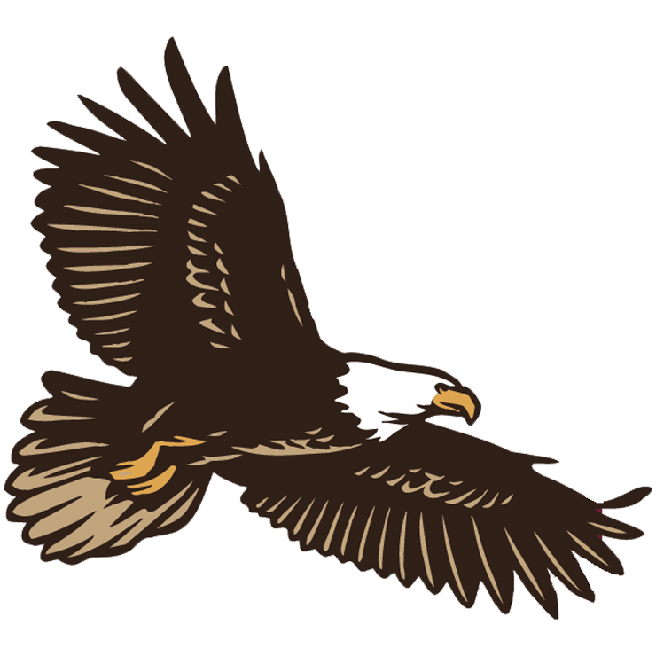 eds eagle